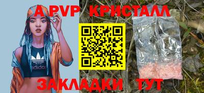 крисы Славгород