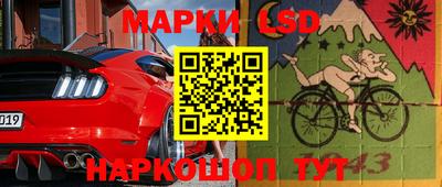 крисы Славгород
