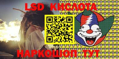 крисы Славгород