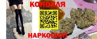 крисы Славгород