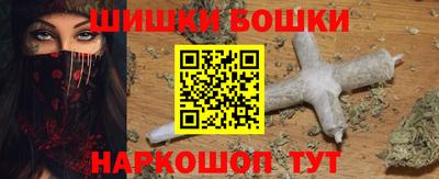 крисы Славгород