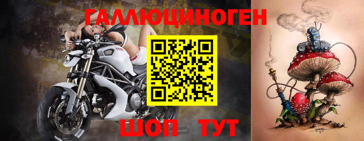 Новокубанск  Псилоцибиновые грибы Cubensis  купить наркотики сайты  Вход с VPN 
