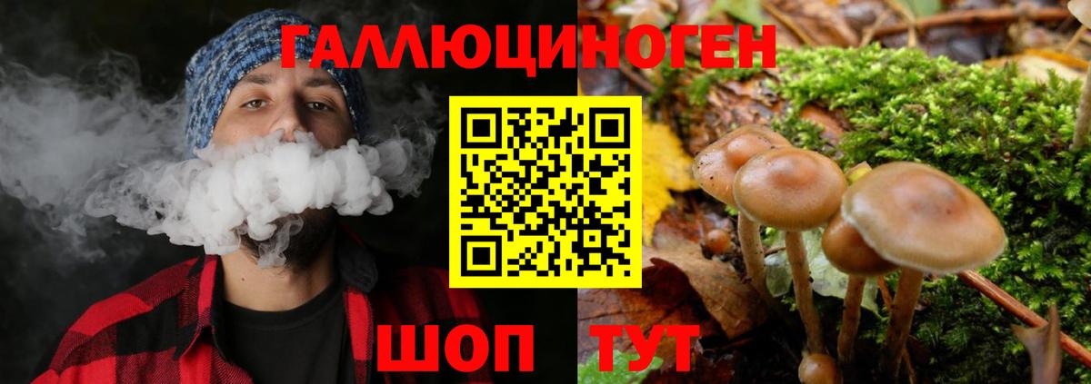 Галлюциногенные грибы GOLDEN TEACHER Новокубанск